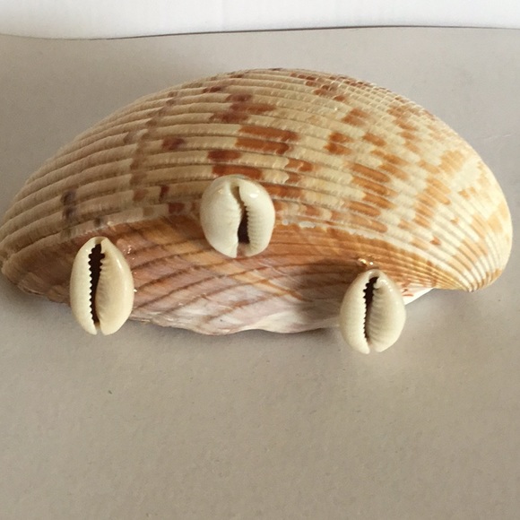 NWOB Seashell Native set - Picture 5 of 9